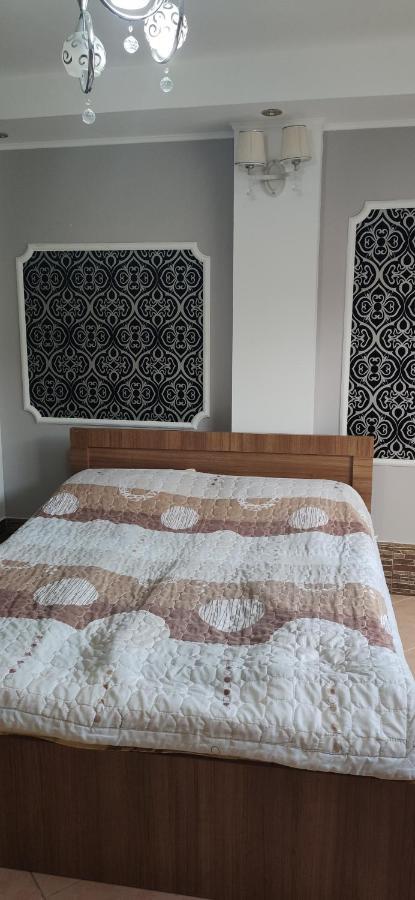 Guest House Albatros Cholpon-Ata Εξωτερικό φωτογραφία