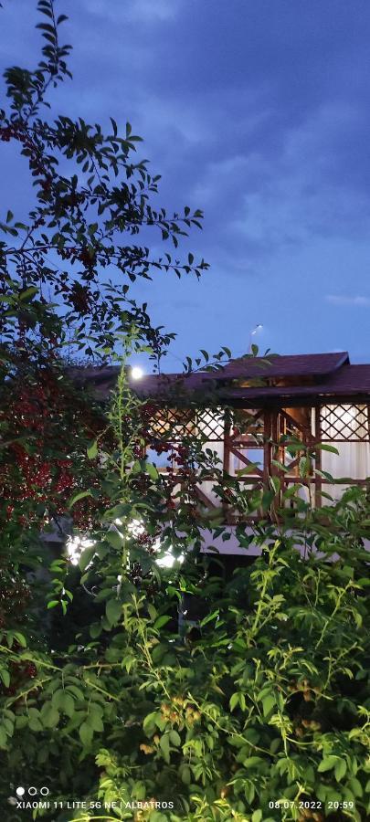 Guest House Albatros Cholpon-Ata Εξωτερικό φωτογραφία