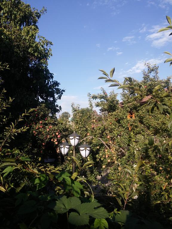 Guest House Albatros Cholpon-Ata Εξωτερικό φωτογραφία