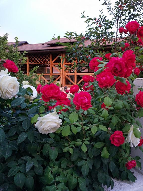 Guest House Albatros Cholpon-Ata Εξωτερικό φωτογραφία
