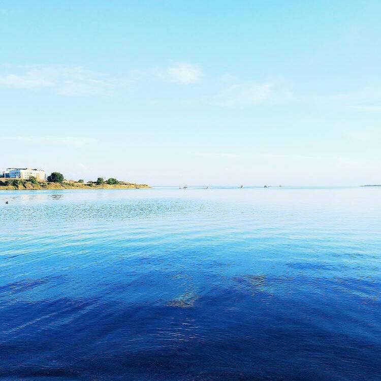 Guest House Albatros Cholpon-Ata Εξωτερικό φωτογραφία