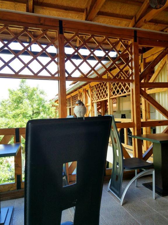 Guest House Albatros Cholpon-Ata Εξωτερικό φωτογραφία