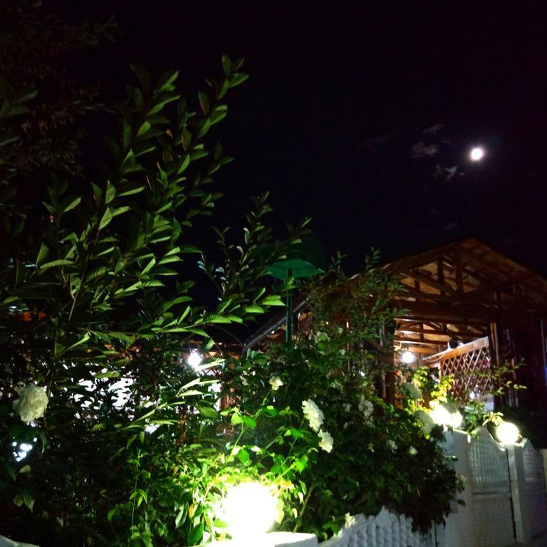 Guest House Albatros Cholpon-Ata Εξωτερικό φωτογραφία